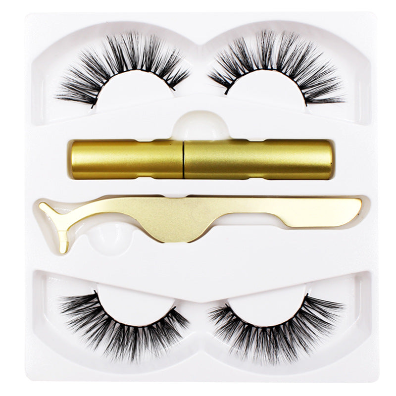 Reusable Magnetic Eyelash & Eyeliner Kit