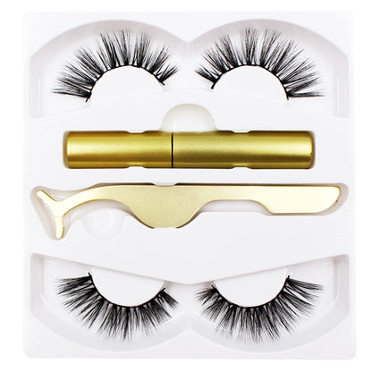 Reusable Magnetic Eyelash & Eyeliner Kit
