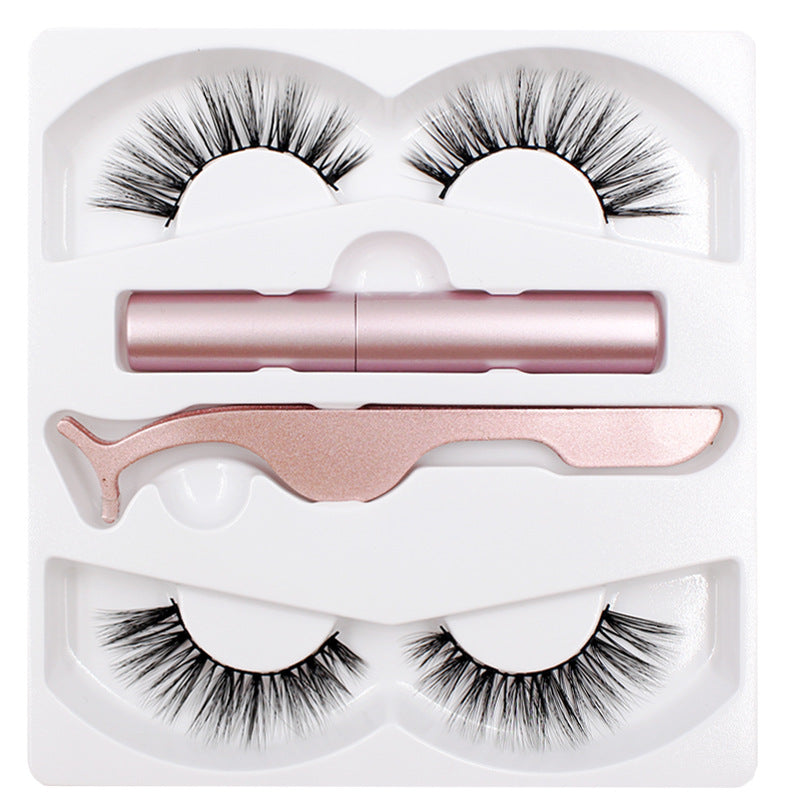 Reusable Magnetic Eyelash & Eyeliner Kit