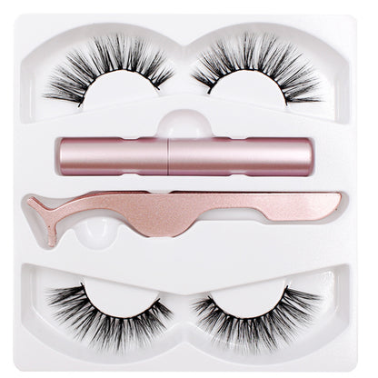 Reusable Magnetic Eyelash & Eyeliner Kit