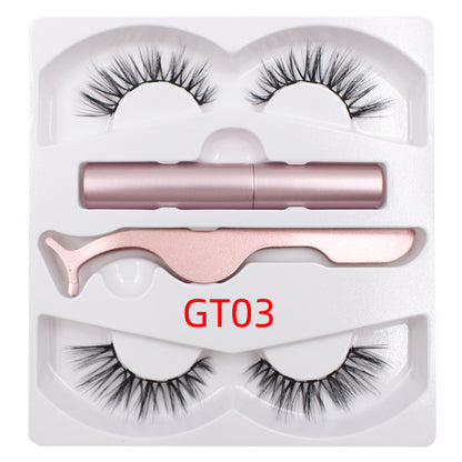 Reusable Magnetic Eyelash & Eyeliner Kit