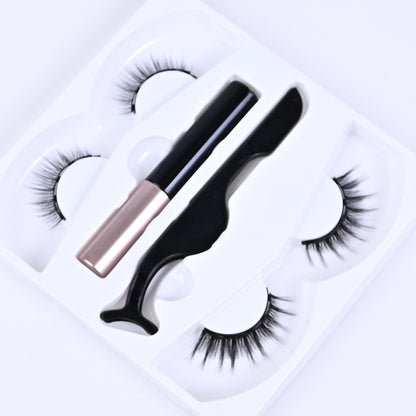 Reusable Magnetic Eyelash & Eyeliner Kit